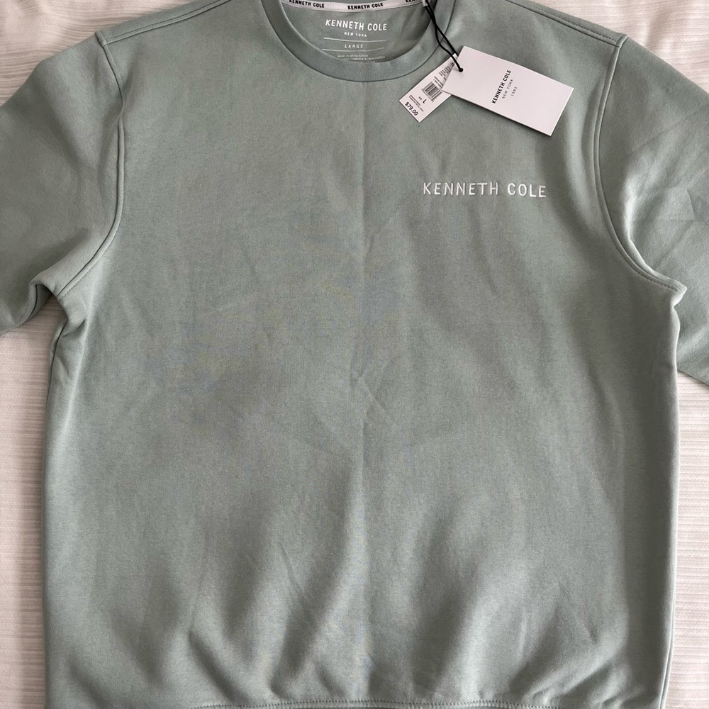 Kenneth Cole Men's Mint Crewneck Sweater